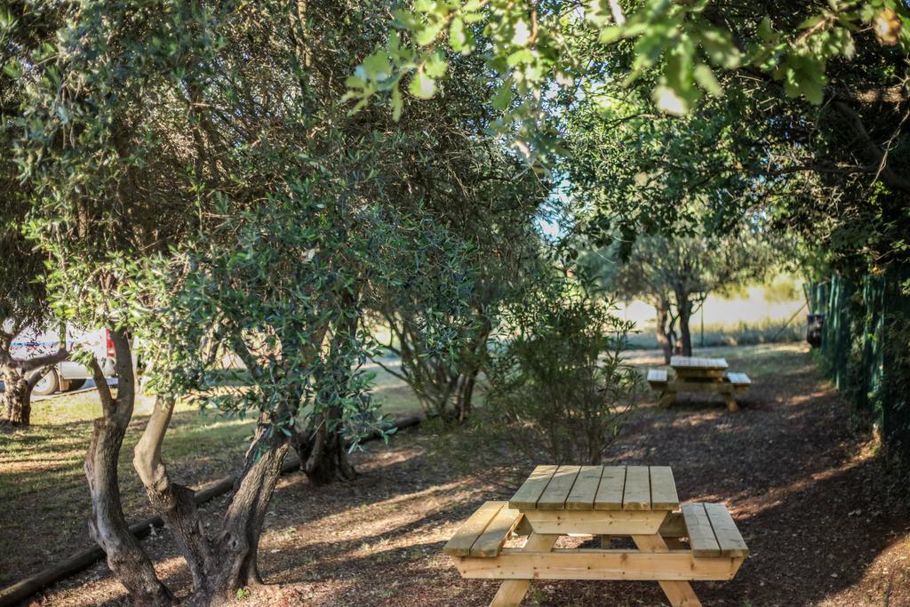Ibis Budget Le Cannet Des Maures Le Cannet-des-Maures Exteriér fotografie